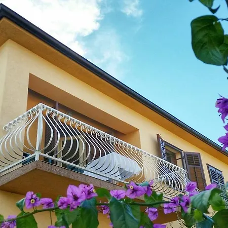 Nela Apartment *